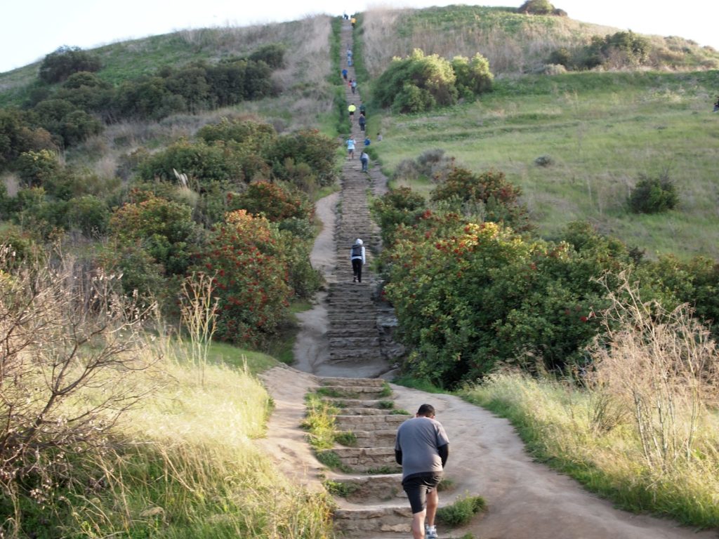 Baldwin Hills Stairs