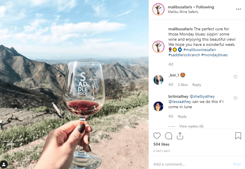 Malibu Wine Safari