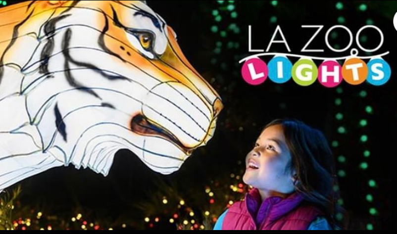 LA Zoo Lights