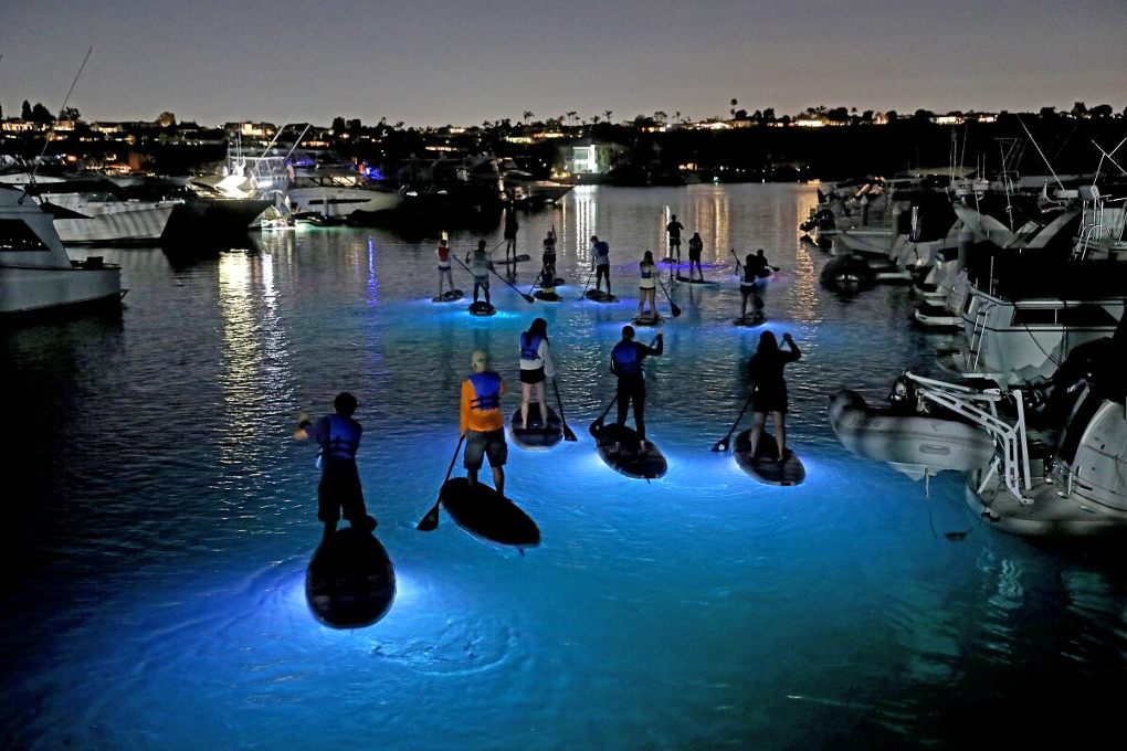 Paddleboarding Orange County