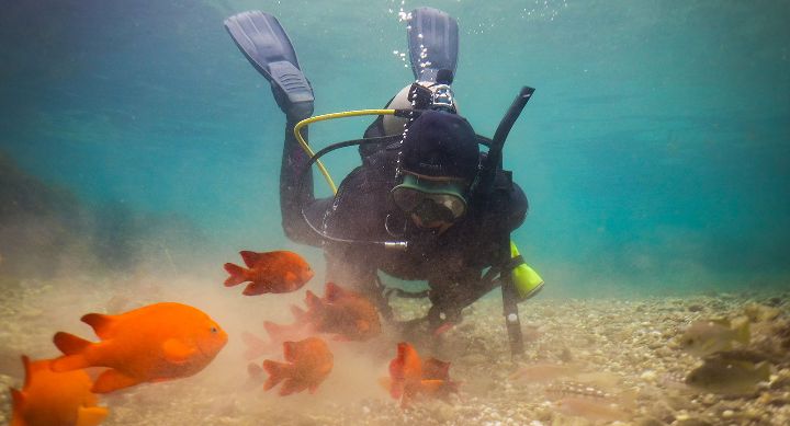 Point Dume Malibu Snorkeling