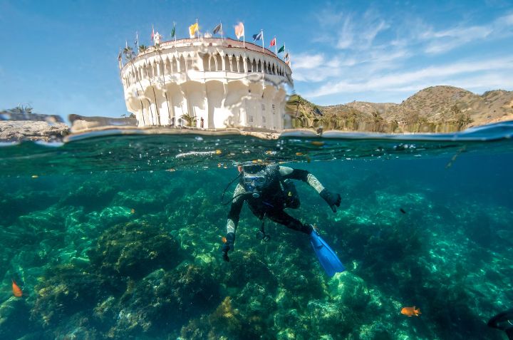 Snorkeling Santa Catalina Island