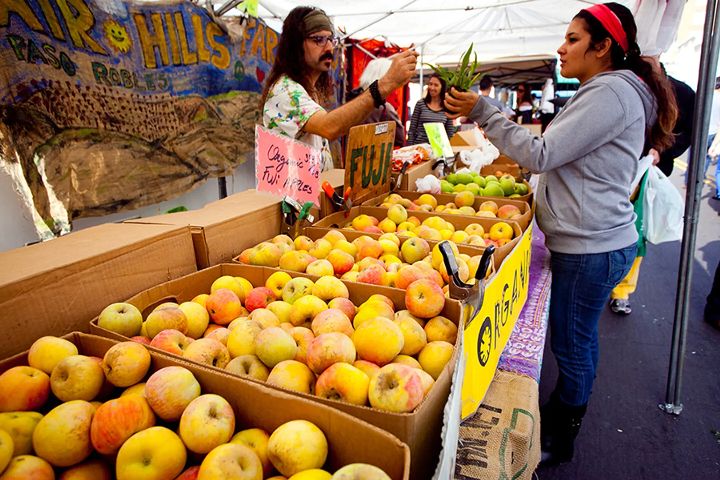 Hollywood Farmers Market