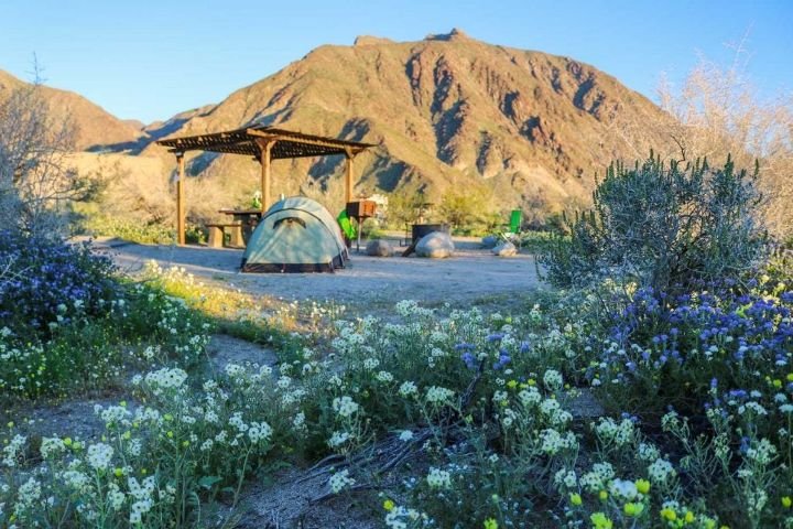 Anza Borrego Fall Camping