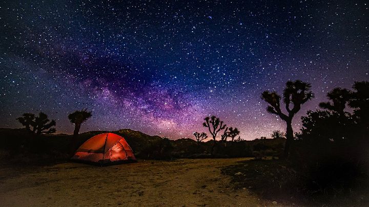 Joshua Tree Fall Camping